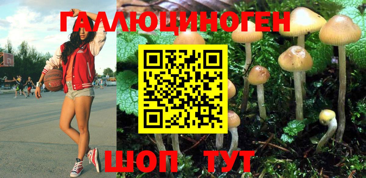 Галлюциногенные грибы GOLDEN TEACHER Кинешма
