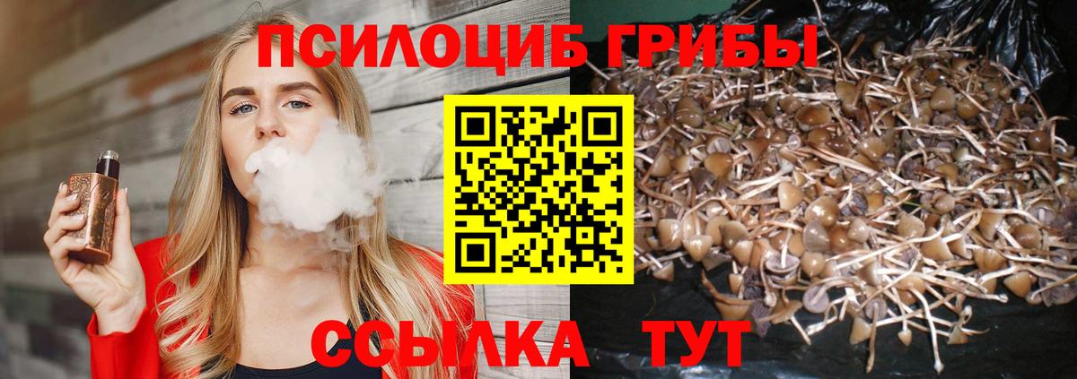 Галлюциногенные грибы MAGIC MUSHROOMS  Вход с VPN  Галлюциногенные грибы Cubensis  Кинешма 